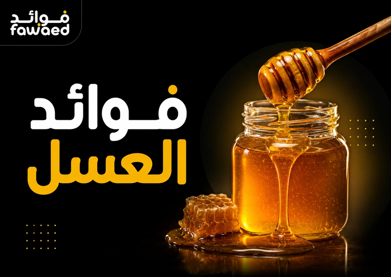 ما فوائد العسل؟ أهم الفوائد وطريقة الاستفادة