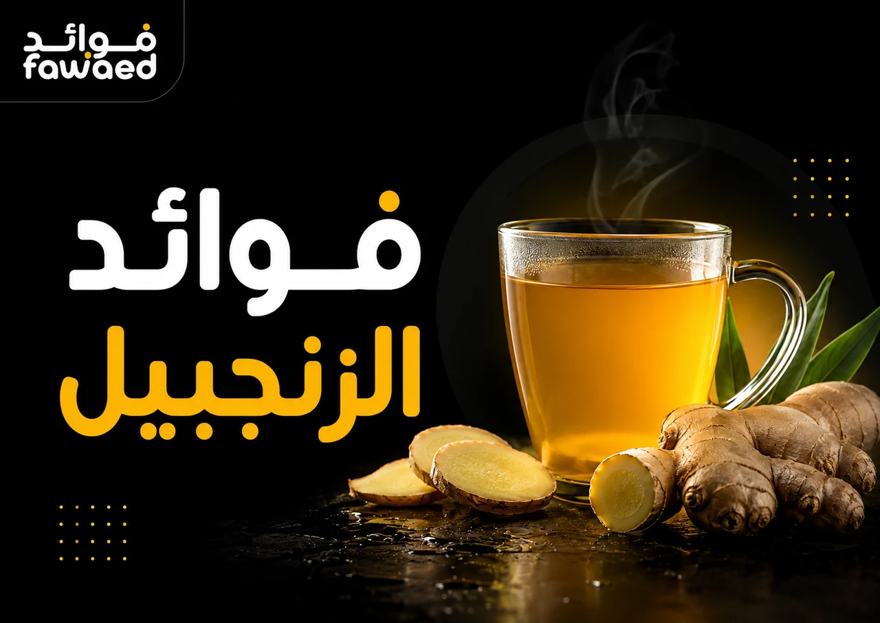 ما فوائد الزنجبيل؟ أهم الفوائد وطريقة الاستفادة