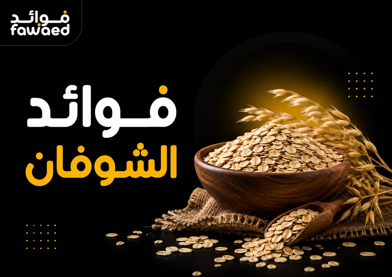 ما فوائد الشوفان؟ أهم الفوائد وطريقة الاستفادة