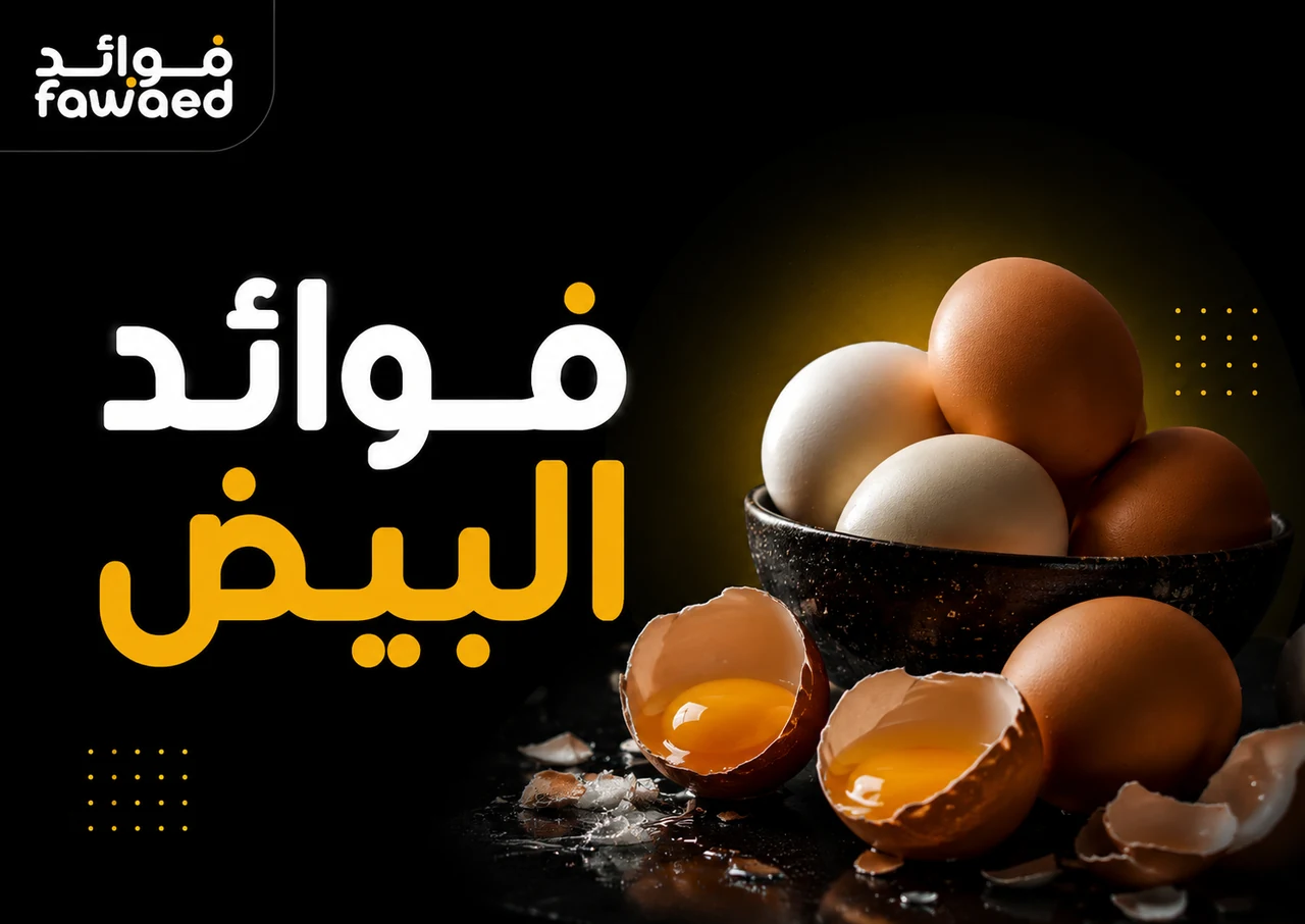 ما فوائد البيض؟ أهم الفوائد وطريقة الاستفادة