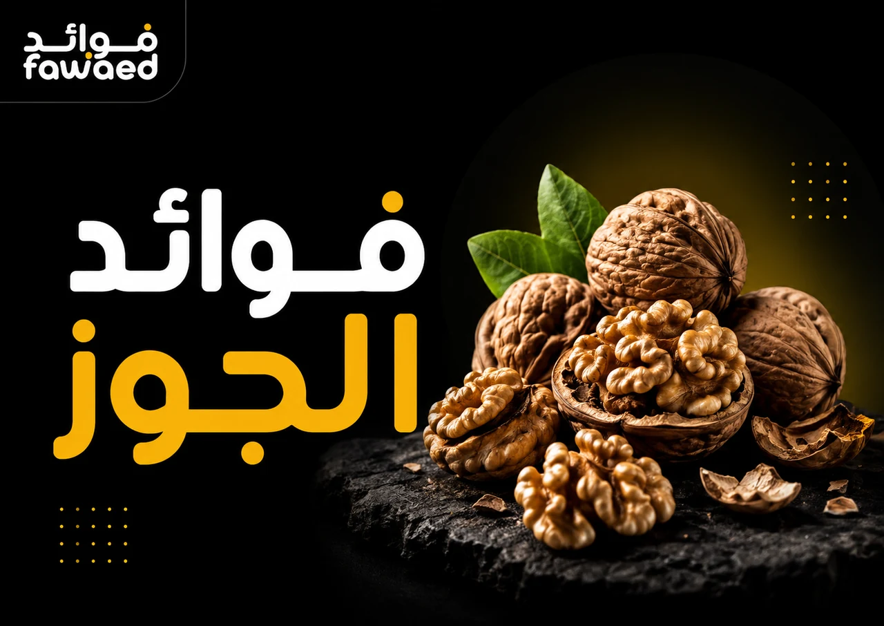 ما فوائد الجوز؟ أهم الفوائد وطريقة الاستفادة