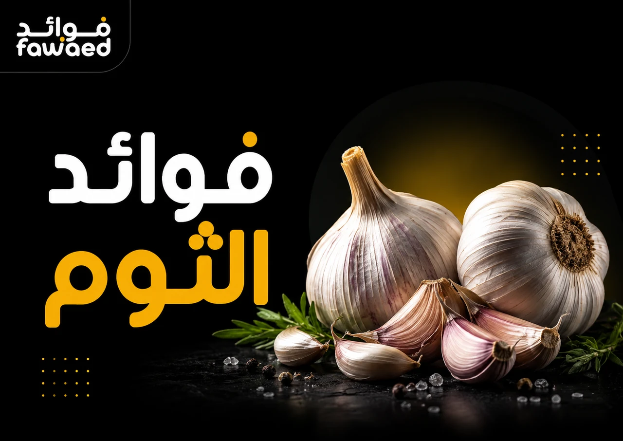 ما فوائد الثوم؟ أهم الفوائد وطريقة الاستفادة