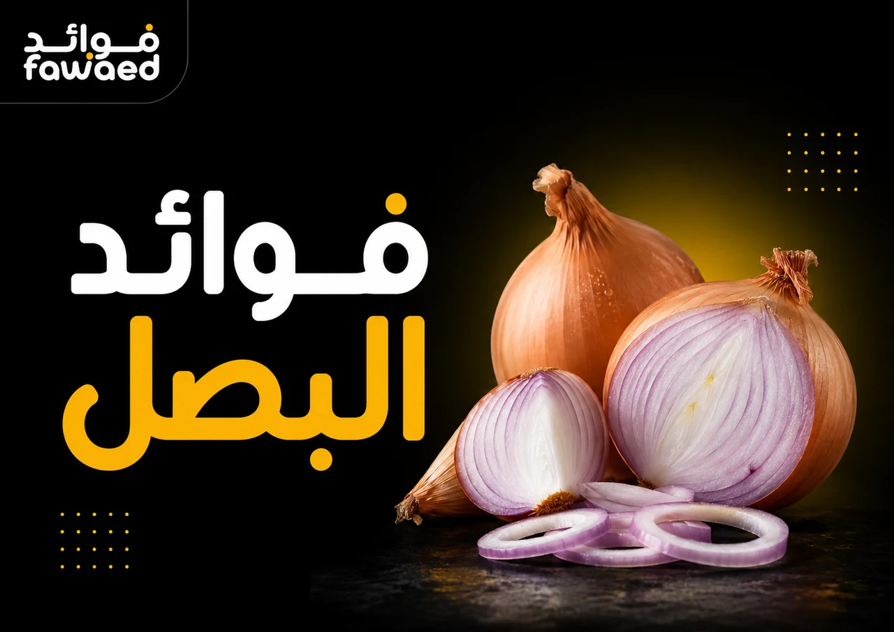 ما فوائد البصل؟ أهم الفوائد وطريقة الاستفادة