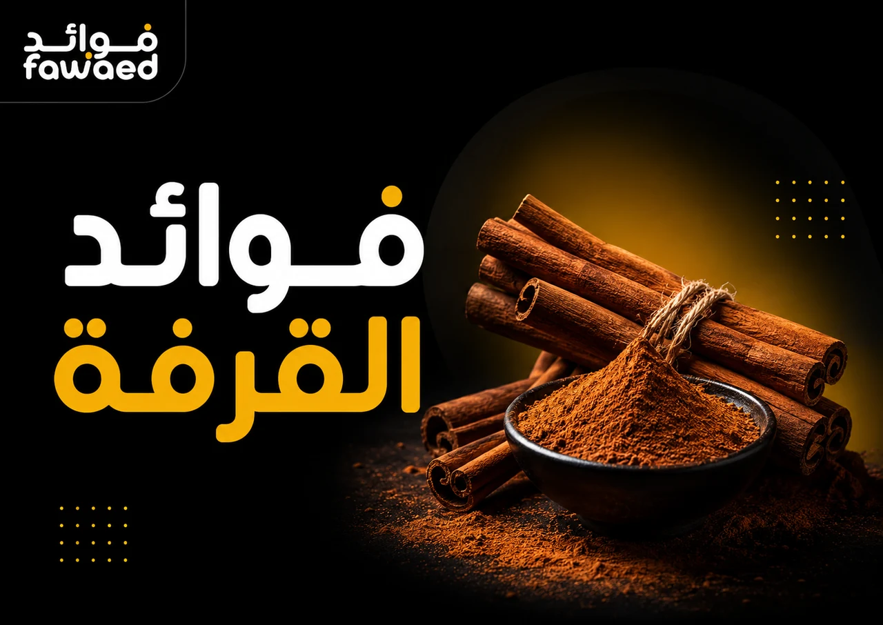 ما فوائد القرفة؟ أهم الفوائد وطريقة الاستفادة