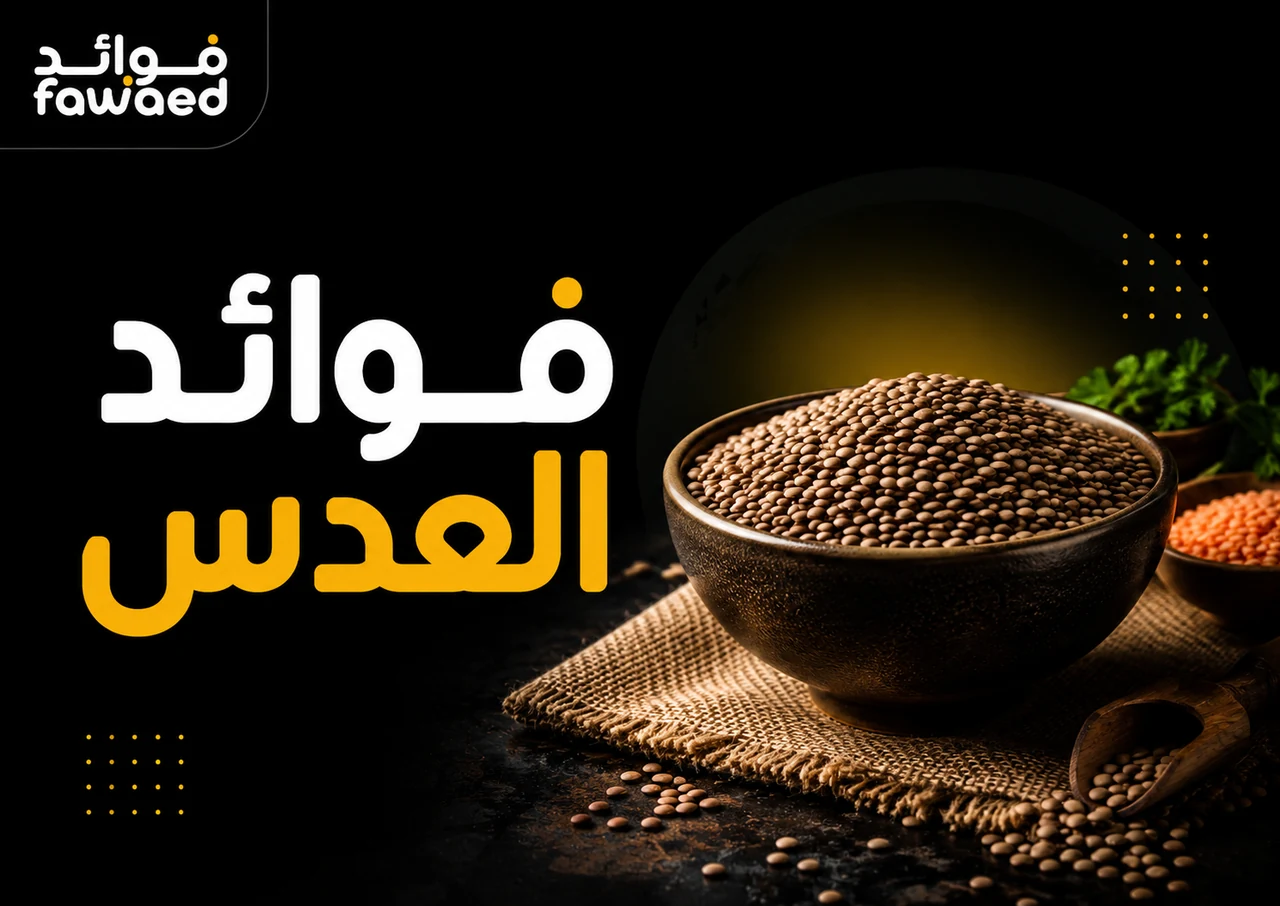 ما فوائد العدس؟ أهم الفوائد وطريقة الاستفادة