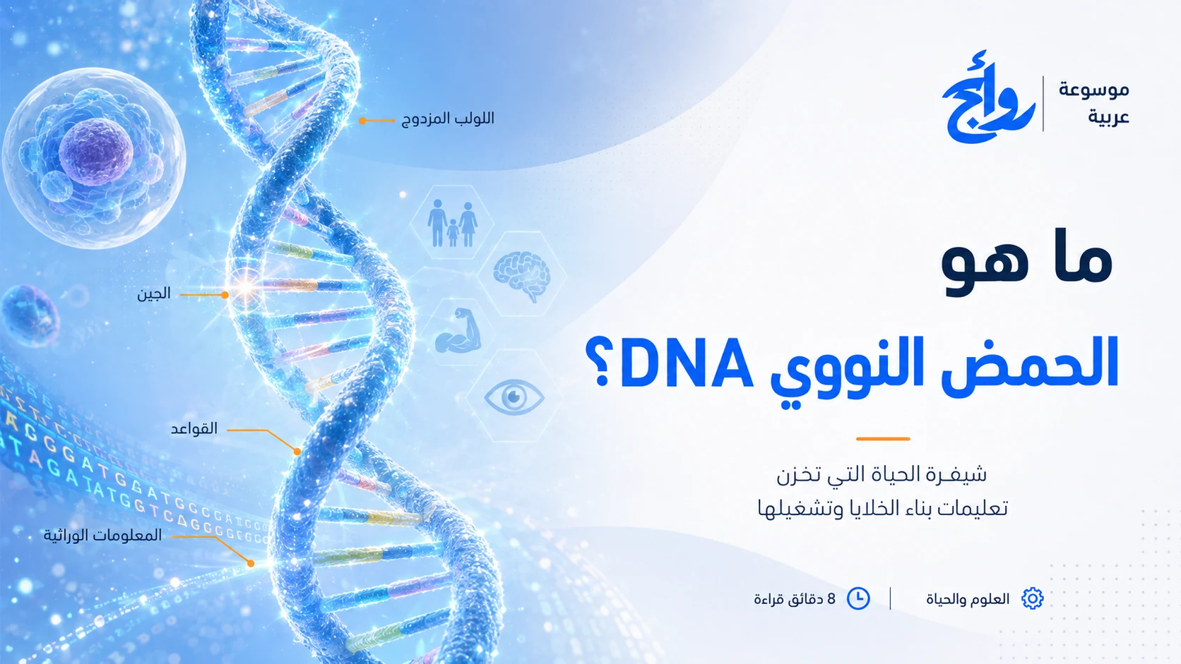 ما هو الحمض النووي DNA؟
